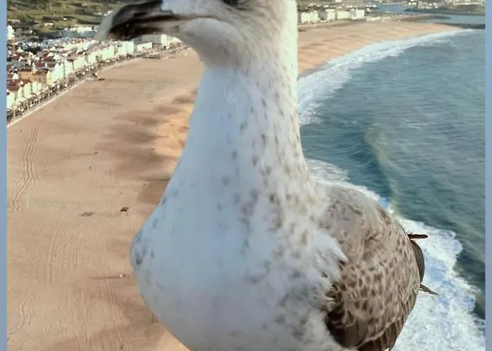 公寓 Loftnazarewaves 2 纳扎雷